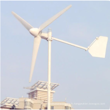 150W maison éolienne génératrice d’utilisation